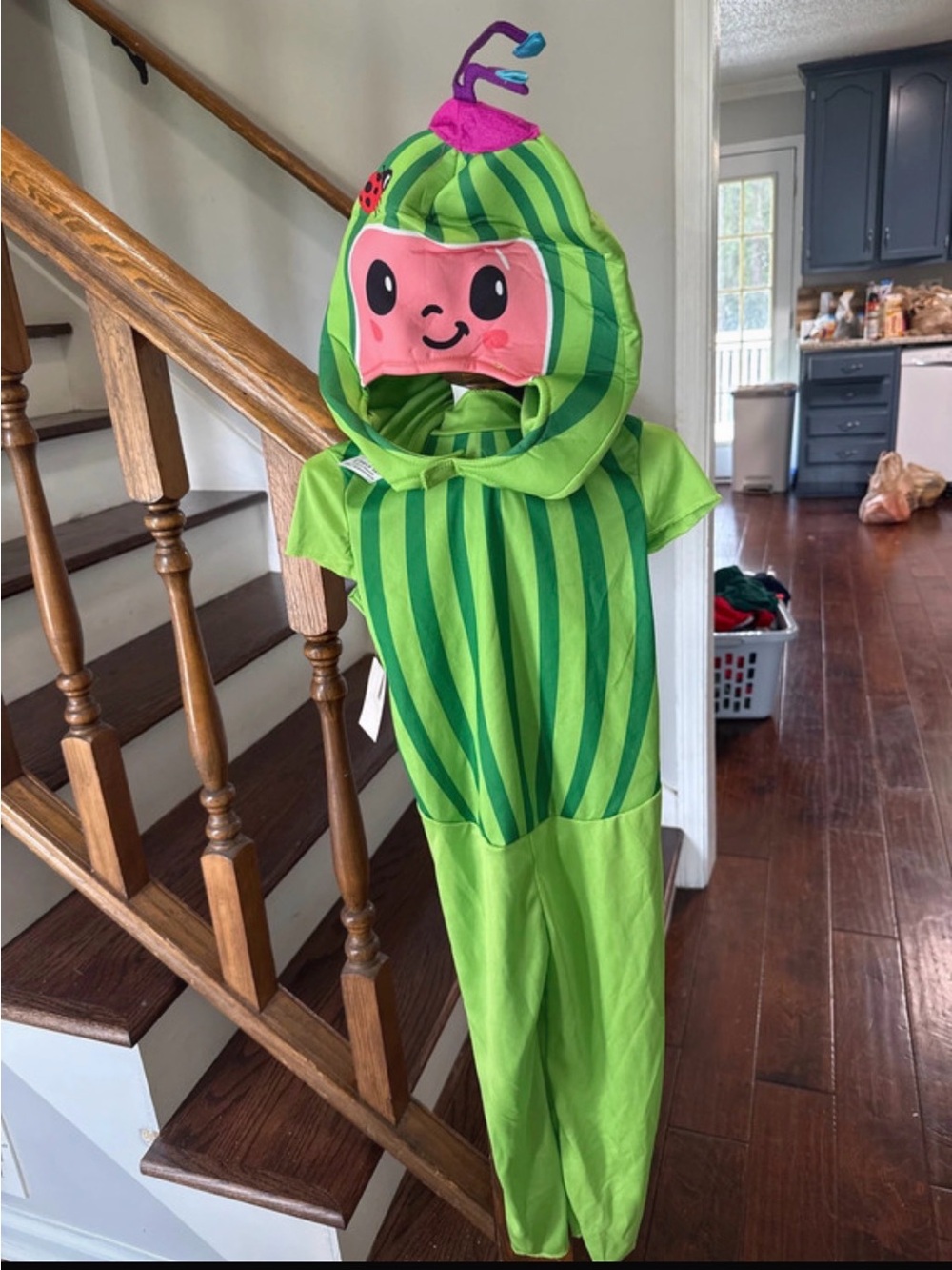 Cocomelon costume